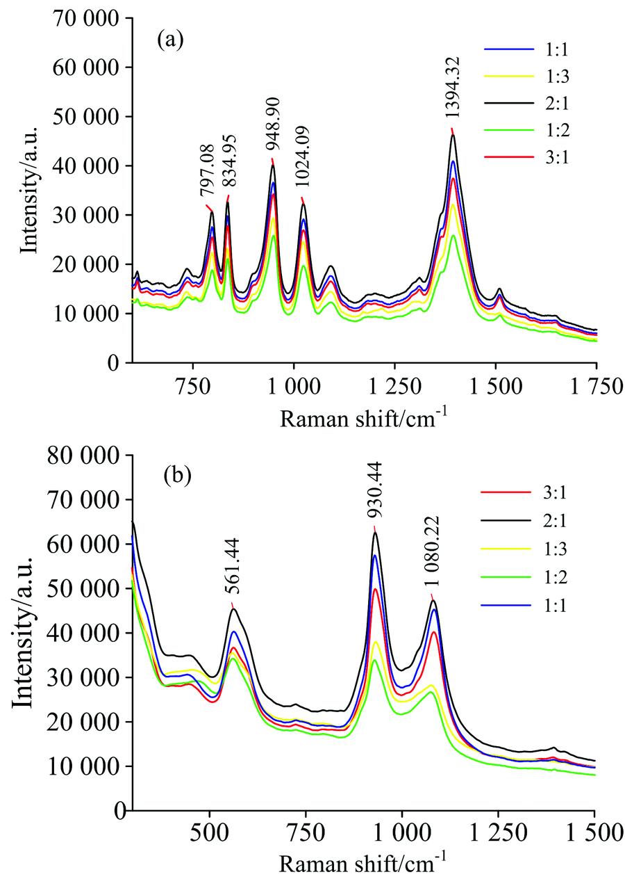 Surface enhanced Raman spectrum(a): TN; (b): TP