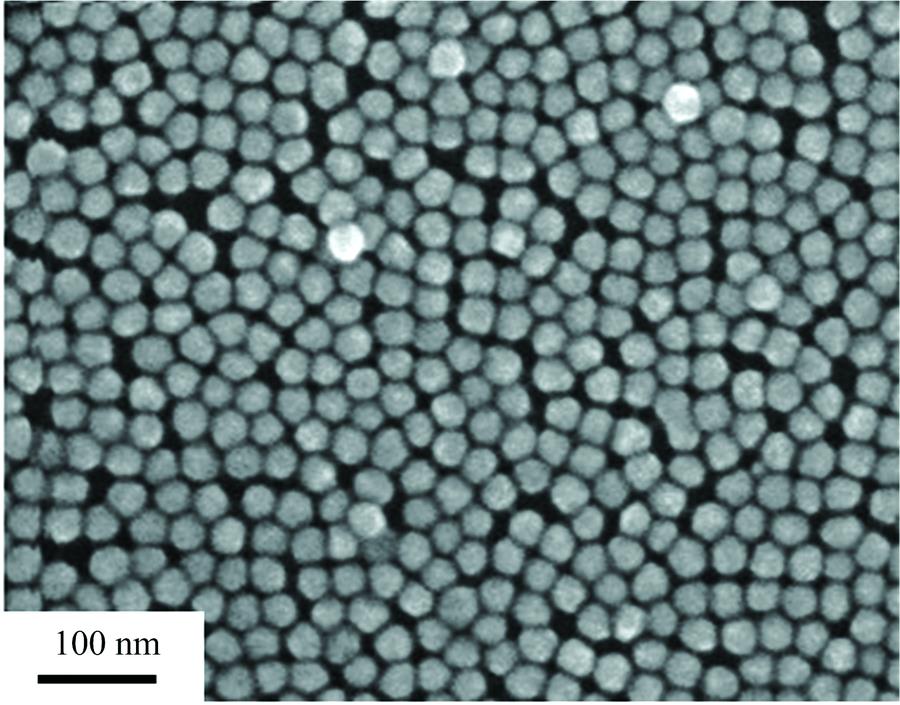 SEM image of Au nanoparticles monolayer film