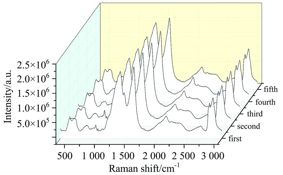 The result of Preprocessing for Raman signal data