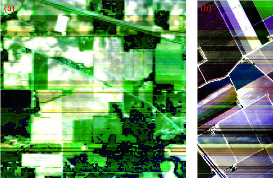 Hyperspectral color images(a): Indian Pines; (b): Salinas