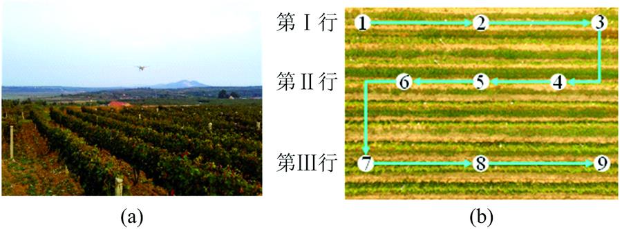The acquisition of multispectral images in fields(a): Experimental site; (b): Sampling scheme