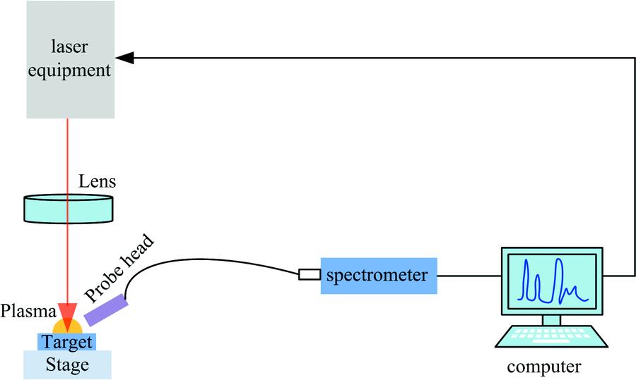 System diagram for on-line detection of LIBS