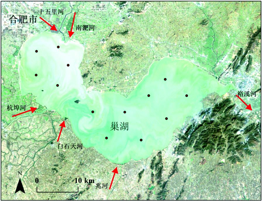 Location of sampling sites in Lake Chaohu in January, April, and July 2018