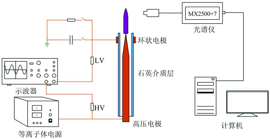 Schematic diagram of the test device