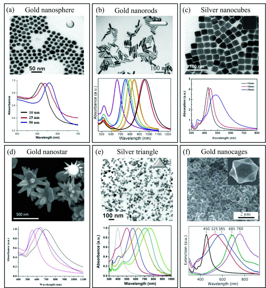 TEM image and absorption spectrum of nanocolloids of different sizes or shapes(a): Gold nanospheres; (b): Gold nanorods; (c): Silver nanocubes;(d): Gold nanostar; (e): Silver triangle; (f): Gold nanocages