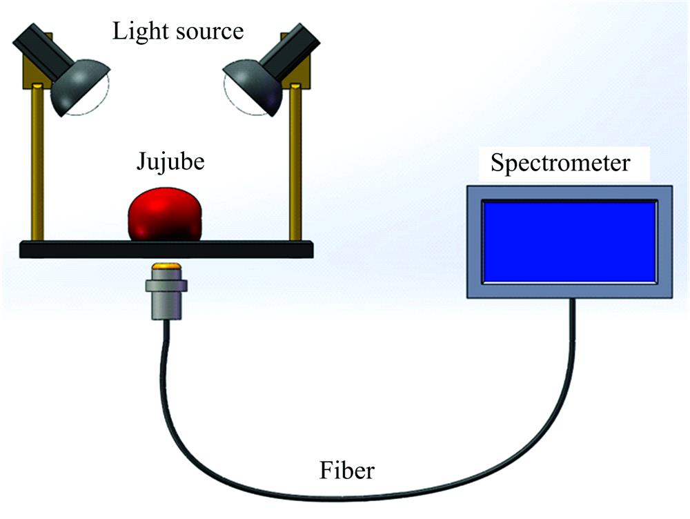 Schematic diagram of spectrum acquisition device