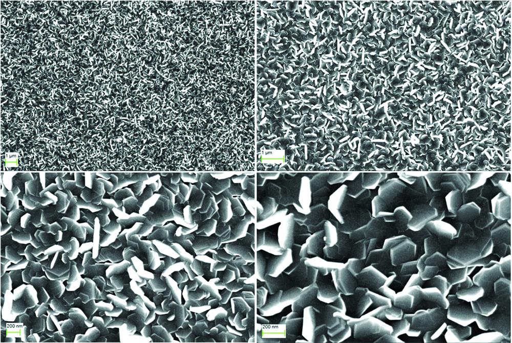 SEM images of MgB2 film at different magnifications