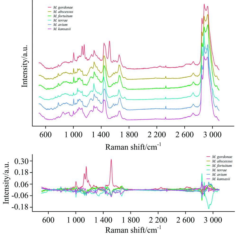Original average Raman spectra and difference peaks of six NTMs