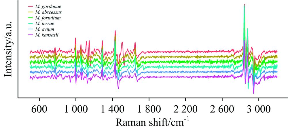 Pretreatment average Raman spectra of six NTMs