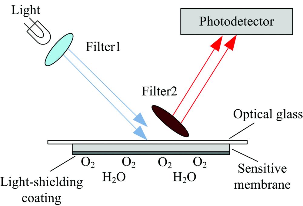 Process of fluorescence generation and quenching