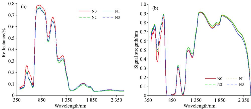 Reflectance spectra (a) and absorption peak depth (b) of stems of Hylocereus polyrhizus under different nitrogen levels