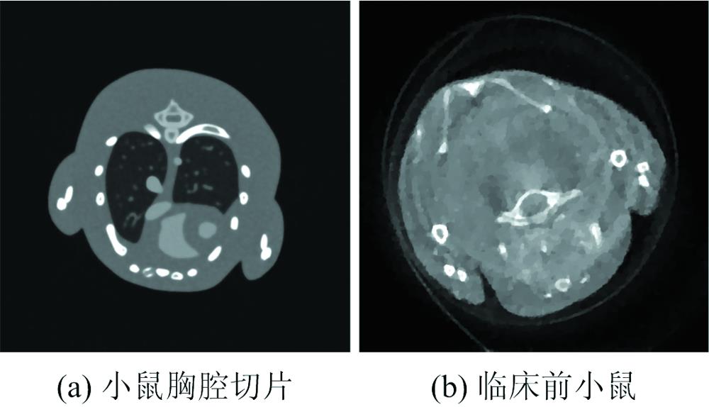 The prior images(a): The phantom of mouse thoracic caoity;(b): The preclinical mouse