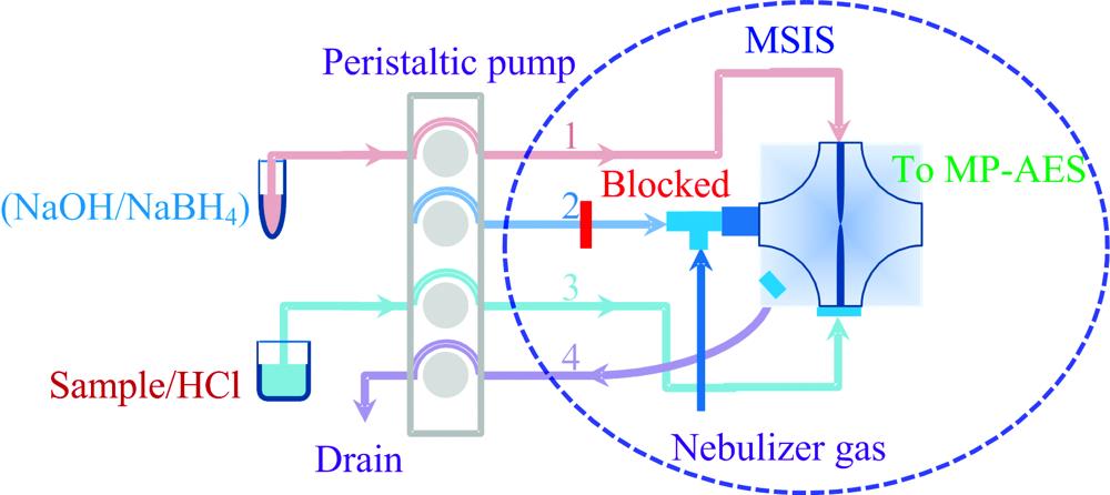 Multimode sample introduction system (MSIS) setup for hydride generation