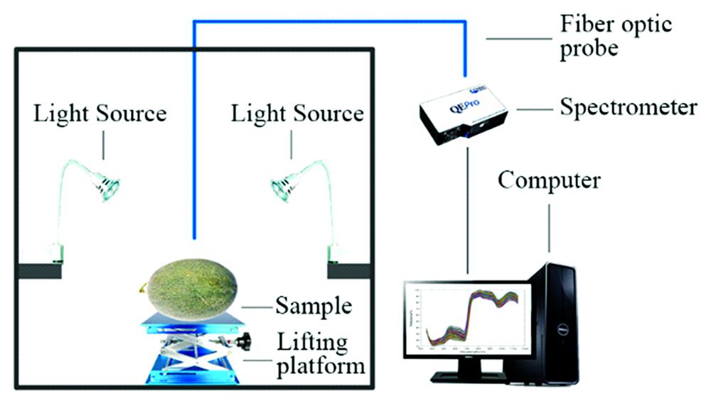 Vis-NIR spectra collection system