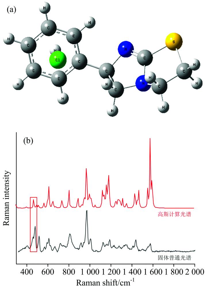 Theoretical calculation results of levamisole hydrochloride(a): Optimize molecular structural formula of levamisole hydrochloride; (b): Comparison between theoretical Raman spectra and solid Raman spectra