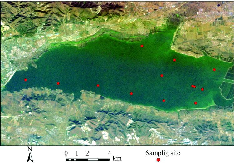 Hyperspectral color synthetic image of Zhuhai-1 and sampling points of water surface experiment on November 22, 2018