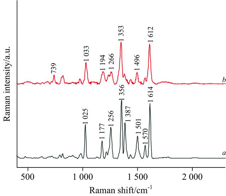 Raman spectrum of nitrofurantoin standard products (a) and honey SERS spectrum (b) containing nitrofurantoin