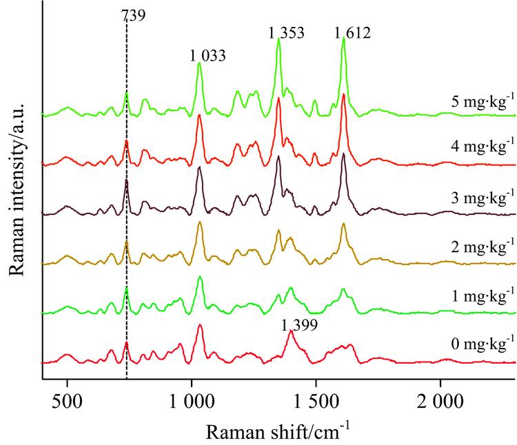 Surface enhanced Raman spectra of honey containing nitrofurantoin after baseline deduction
