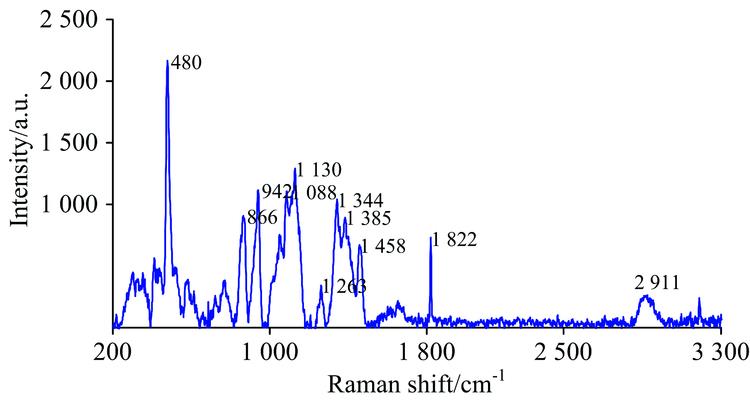 Main characteristic peaks of rice Raman spectrum