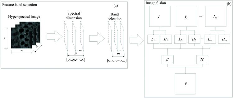 Image preprocessing(a): Feature band selection; (b): Image fusion