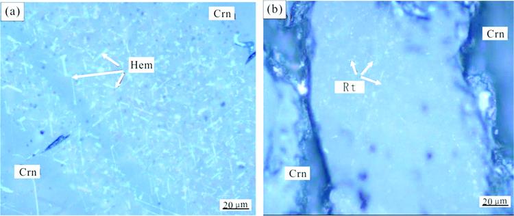 Three sets of needle-like inclusions in CL-02(a) and BM-01(b) under optical microscope(50×)