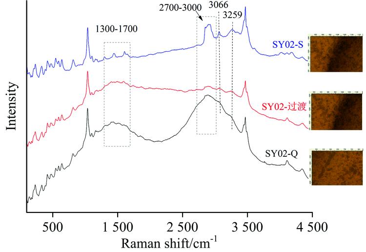 micro-Raman spectra of sample SY02