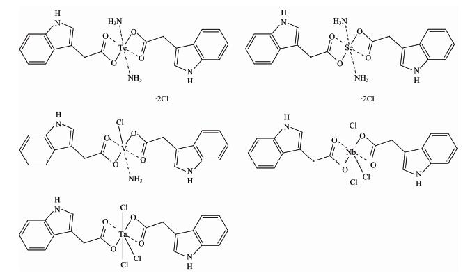 Suggested structures of IAA complexes