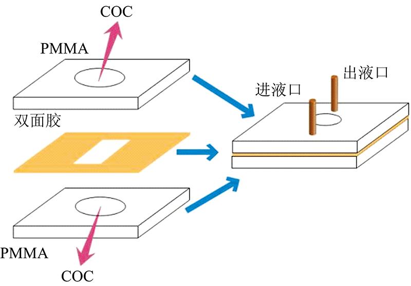 Schematic diagram of microfluidic chip preparation
