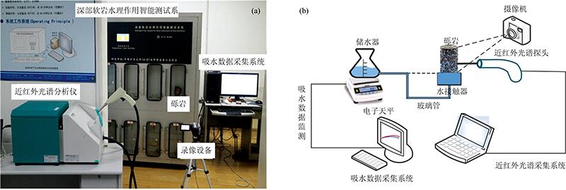 (a) Water sorption test system and near-infrared testing device; (b) schematic diagram of the experimental setup