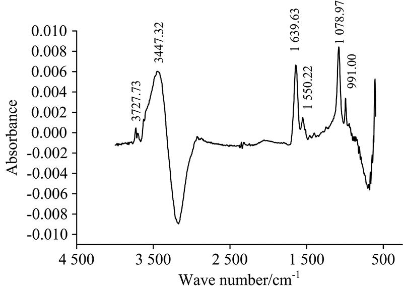 ATR-FTIR spectra of beef myofibrillar proteins recorded at room temperature (25 ℃)