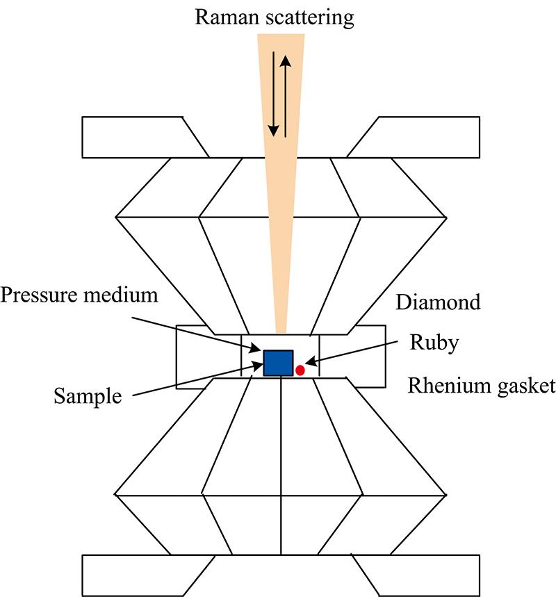 Sketch of diamond anvil cell combined with Raman scattering