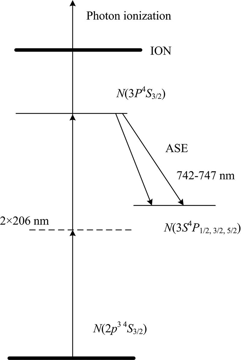 N-TALIF schematic diagram