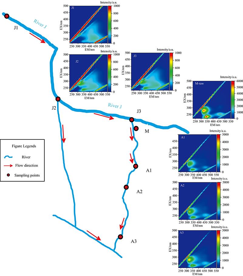 Schematic diagram of the studied river system and sampling points with aqueous fluorescence fingerprints