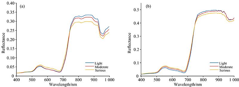 The original spectral reflectance curves of rice under the condition of three degrees of rice sheath blight(a): Low altitude remote sensing canopy; (b): Ground canopy