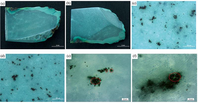 (a) The front photograph of the sample; (b) The back photograph of the sample; (c), (d) The local enlarged photographs of the sample; (e), (f) Microscopic photographs, showing metallic luster on the surface of impurity minerals