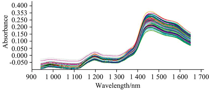 Near infrared spectra of the calibration samples
