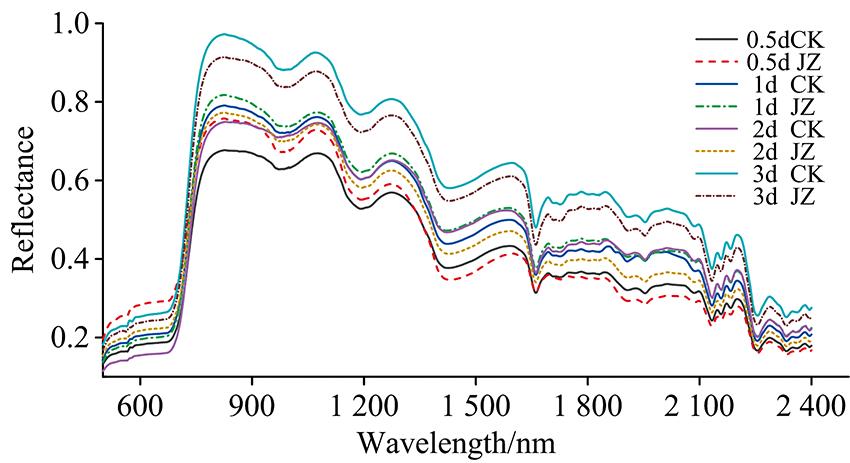 Average reflection spectrum of cauliflower sample
