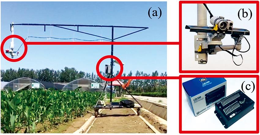 Observation system and equipment(a): Observation site; (b): SRS-NDVI sensor;(c): CR300 data collector