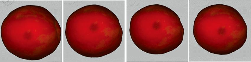 Hyperspectral image of experimental samples