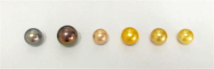 The luster of deep purple, dyed purple, orange, dyed yellow “Edison” pearls and golden seawater pearl, dyed golden seawater pearl