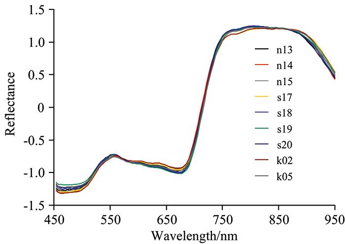Spectral reflectance curves treated with SNV during potato tubergrow period