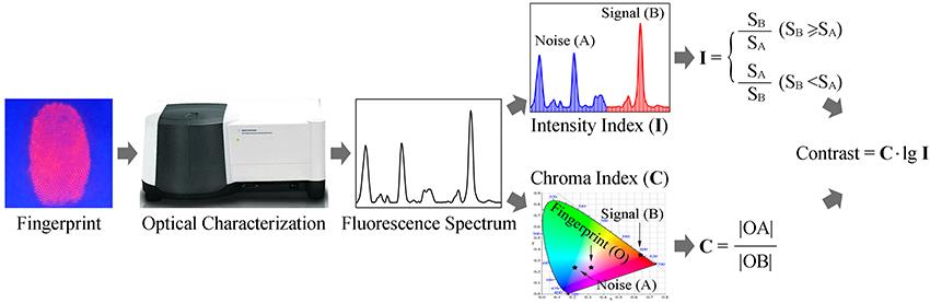 Scheme for quantifying the contrast of fingerprints developed with fluorescent nanomaterials by means of spectral analysis[15]