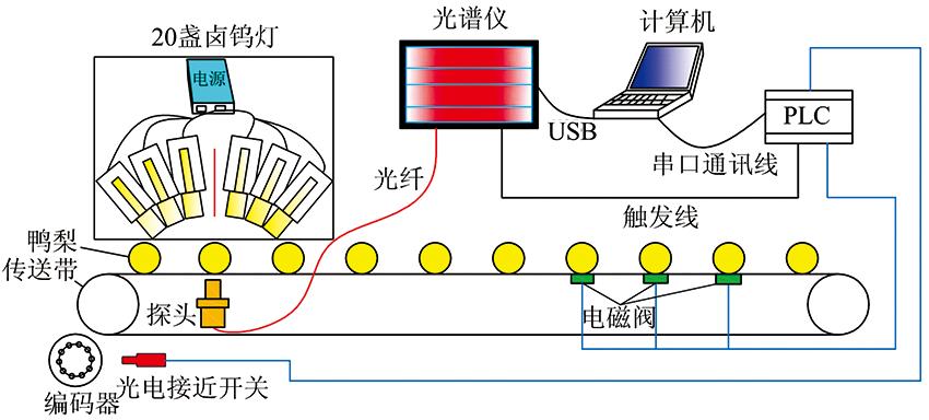 Schematic diagram of the vis-near infrared spectroscopy online sorting device for ‘Yali' pear