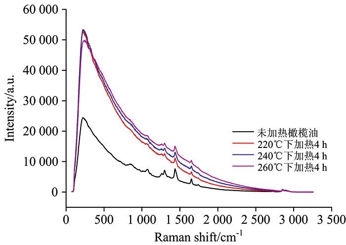 Raman spectra of olive oil under different processing conditions