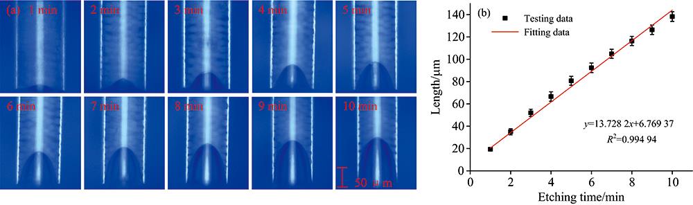 The change of micro-cavity length with etching time(a): Microscope image; (b): Quantitative result figure