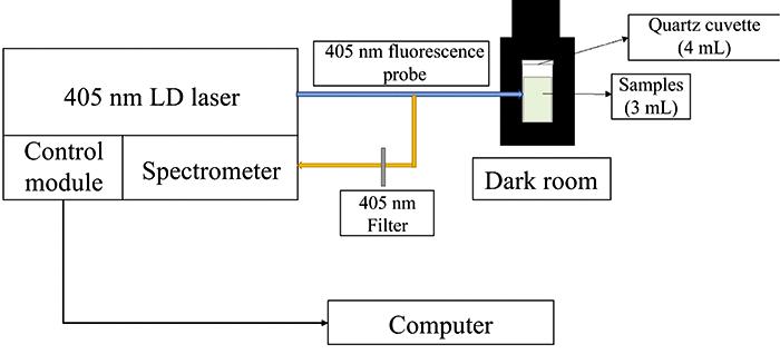 Structure of portable 405 nm laser-induced fluorescence detector