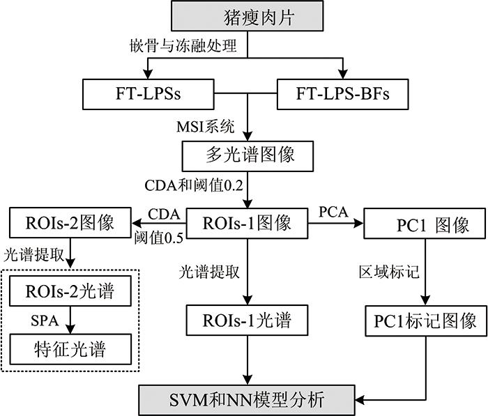 Flow chart of the identification of FT-LPS-BFs based on MSI technology