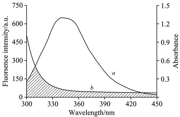 Overlapping of the fluorescence emission spectra (a) of BSA and with the absorption spectra (b) of FAc(BSA)=c(FA)=5.0×10-7 mol·L-1