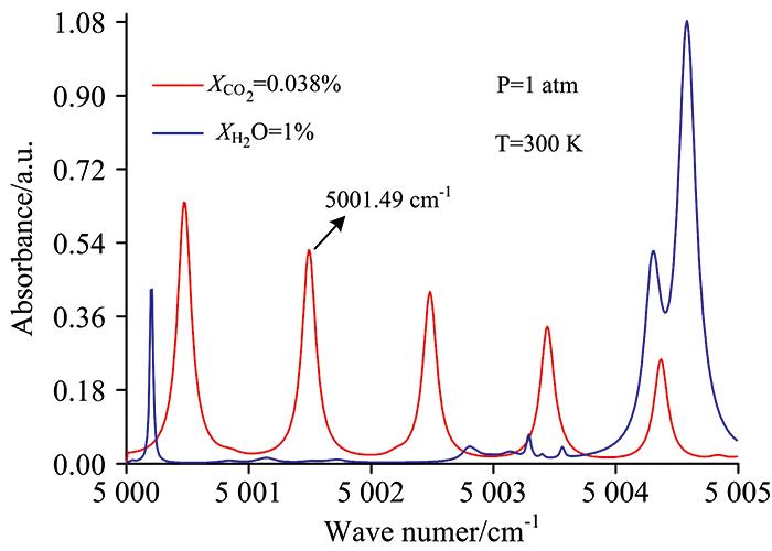 Absorption spectrum of CO2 and H2O in the range of 5 000~5 005 cm-1