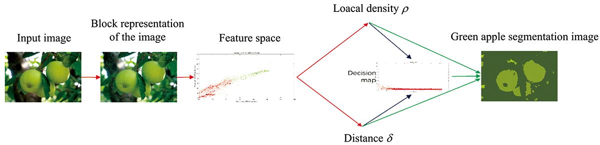 Flow chart of improved density peak clustering green apple segmentation algorithm
